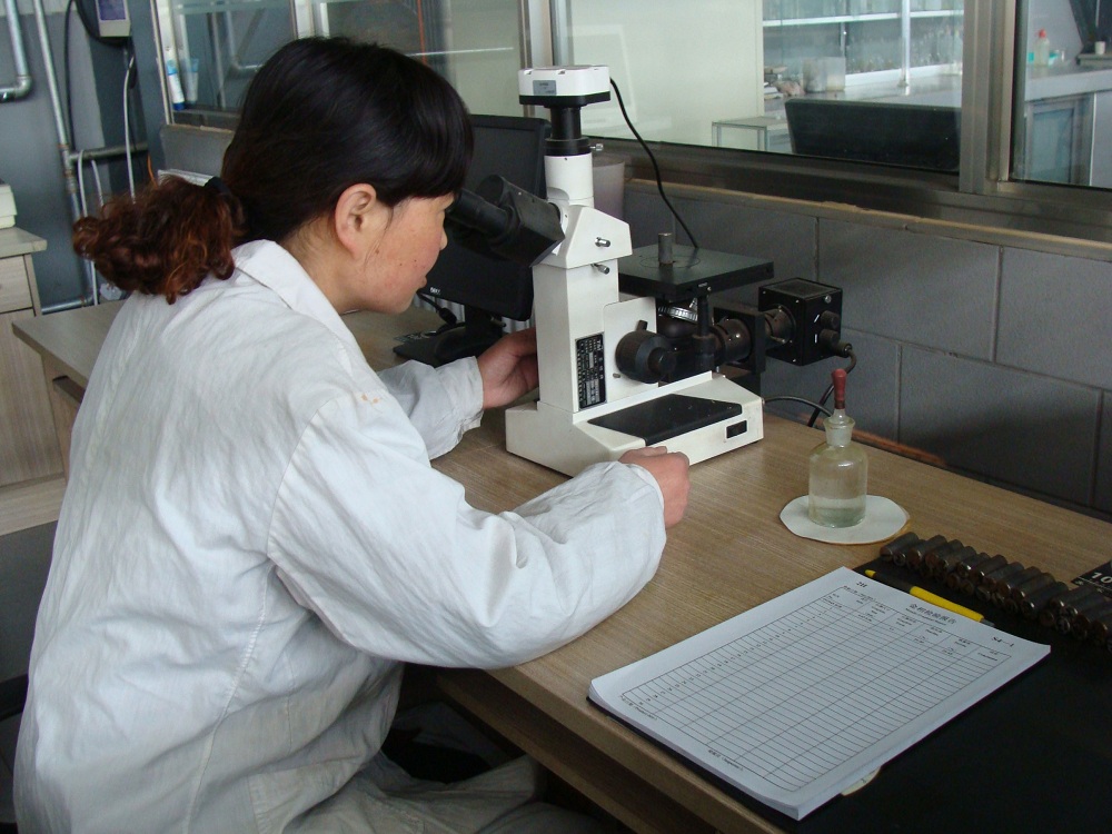 Metallurgical microscope
